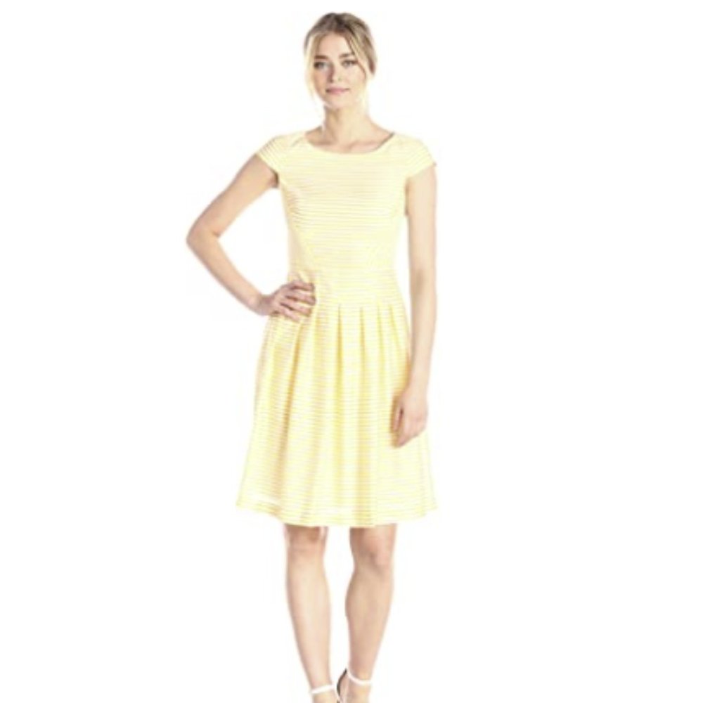 Anne Klein Newport Stripe Day Fit and Flare dress